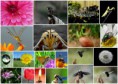 /album/bildgalleri/a2012-03-23-jpg/