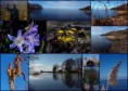 /album/bildgalleri/a2014-03-24-jpg/