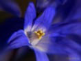 /album/bildgalleri-blandat/img-1626-jpg/