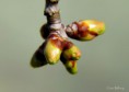 /album/bildgalleri-blandat/img-1629-jpg/