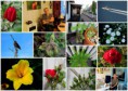 /album/bildgalleri-blandat/a2014-06-13-jpg/