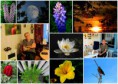/album/bildgalleri-blandat/a2014-06-14-jpg/
