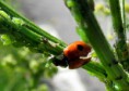 /album/makro/img-3370-jpg/
