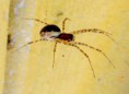 /album/makro/img-3848-jpg/
