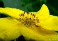 /album/makro/img-6357-jpg/