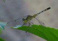 /album/makro/img-7989-jpg/