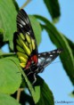 /album/makro/img-8110-jpg/