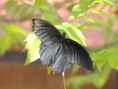 /album/makro/pb240607-jpg/