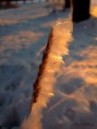 /album/bildgalleri-natur/img-0493-jpg/