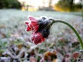 /album/bildgalleri-natur/img-0684-jpg/