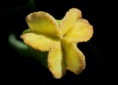 /album/bildgalleri-natur/img-2501-jpg/