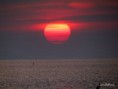 /album/bildgalleri-natur/img-8950-jpg/