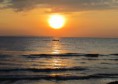 /album/bildgalleri-natur/img-8737-jpg/