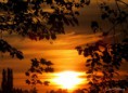 /album/bildgalleri-natur/img-2462-jpg/
