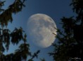 /album/bildgalleri-natur/img-2447-jpg/