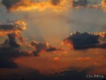 /album/bildgalleri-natur/img-1364-jpg/