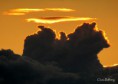 /album/bildgalleri-natur/img-6475-jpg/