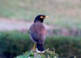 /album/bildgalleri-natur/img-0711-jpg/