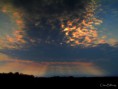 /album/bildgalleri-natur/img-1586-jpg/