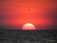 /album/bildgalleri-natur/img-8868-jpg/