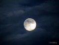 /album/bildgalleri-natur/img-8201-jpg/
