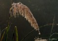 /album/bildgalleri-natur/pc300268-jpg/