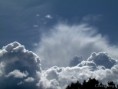 /album/bildgalleri-natur/img-0772-jpg/