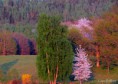/album/bildgalleri-natur/img-6183-001-jpg/