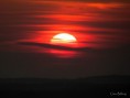 /album/bildgalleri-natur/img-6219-jpg/
