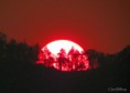 /album/bildgalleri-natur/img-4785-jpg/