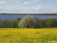 /album/bildgalleri-natur/p5230953-jpg/