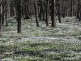 /album/bildgalleri-natur/p4290123-jpg/