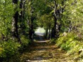 /album/bildgalleri-natur/pa140460-jpg/