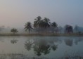 /album/bildgalleri-natur/pc300263-jpg/