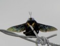 /album/bildgalleri-djur/pa281238-jpg/