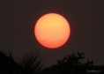 /album/bildgalleri-blandat/img-1234-jpg/