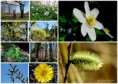 /album/bildgalleri-blandat/a2014-04-20-jpg/