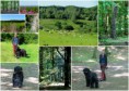/album/bildgalleri-blandat/a2014-05-26-jpg/
