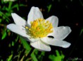/album/bildgalleri-blandat/img-1793-jpg/