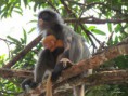 /album/bildgalleri-thailand/img-1062-jpg1/