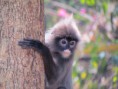 /album/bildgalleri-thailand/img-1104-jpg/