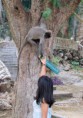 /album/bildgalleri-thailand/img-1154-jpg/