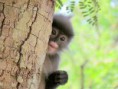 /album/bildgalleri-thailand/img-1097-jpg/