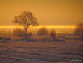 /album/bildgalleri-natur/img-0613-jpg/