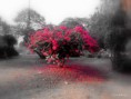 /album/bildgalleri-natur/img-1193-jpg/