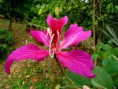 /album/bildgalleri-natur/img-2314-jpg/