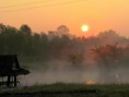 /album/bildgalleri-natur/img-4761-jpg/