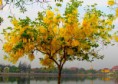 /album/bildgalleri-natur/img-5238-jpg/