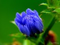 /album/bildgalleri-natur/img-6379-001-jpg/
