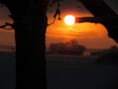 /album/bildgalleri-natur/img-9966-jpg/